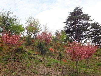 200504soto.JPG